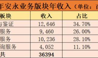 国内会计师事务所排名